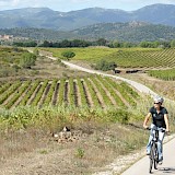 Catalonia Spain’s Empordà Plain Wine & Cuisine Bike Tour