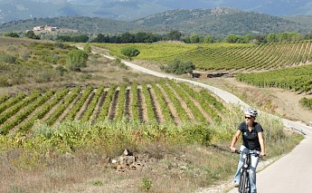 Catalonia Spain’s Empordà Plain Wine & Cuisine Bike Tour