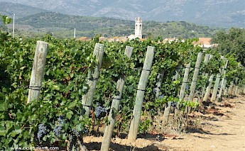 Catalonia Spain’s Empordà Plain Wine & Cuisine Bike Tour