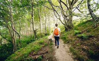 Kullaberg Nature Reserve in Sweden. Johannes Andersson@Unsplash