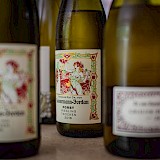 Taste-testing wines in Switzerland! Sandra Grunewald@Unsplash