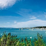 Geneva Switzerland (photo:carlitabenazito)