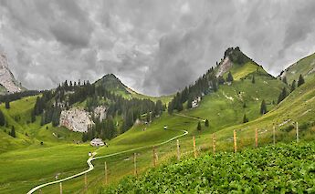 Parc naturel régional Gruyère Pays-d'Enhaut, Charmey, Switzerland. Xavier von Erlach@Unsplash