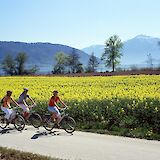 Swiss Lakes by E-bike: Lake Geneva to Lake Lucerne Switzerland Bike Tour