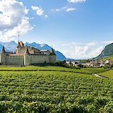 Castle estates around Lake Geneva, Switzerland. Marco Verch Professional@Flickr