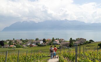 Lavaux, Switzerland along gorgeous Lake Geneva. Soff Garavano@Unsplash