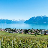 Lavaux Switzerland Vaud Terraced Vineyards (photo:gabrielgarciamarengo)