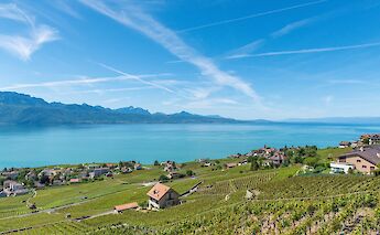 Lavaux, Switzerland along gorgeous Lake Geneva. Gabriel Garcia Marengo@Unsplash