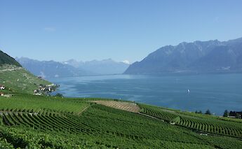Lake Geneva & Lavaux, Switzerland. CC:CalistaZ