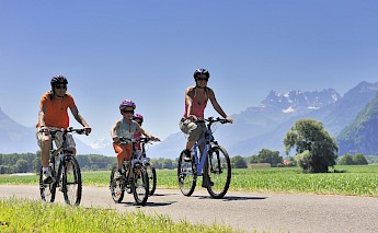 A group of people cycling through a green landscape with mountains in the background, likely along the Rhône River Route in Switzerland.