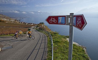 Cyclists ride along the Rhône River Route in Switzerland, with vineyards, a lake, and mountains in the background.