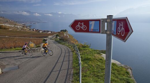 Cyclists ride along the Rh&ocirc;ne River Route in Switzerland, with vineyards, a lake, and mountains in the background.