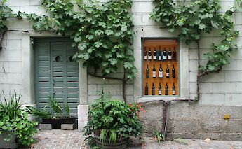 Wine Shop in Lavaux, Switzerland. CC:Zeynel Cebeci