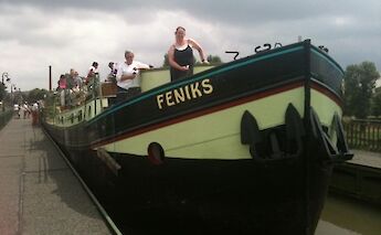 Feniks