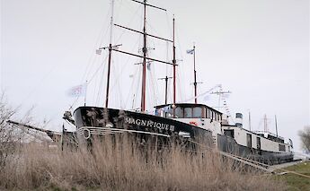 MS Magnifique III