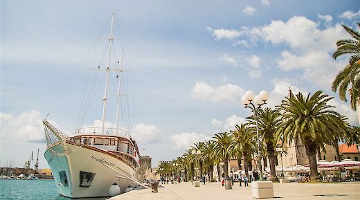 A white ship named Harmonia docked along a promenade lined with palm trees under a clear blue sky.