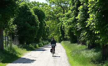 A woman cycling through the countryside in Germany. Sebastian Herrmann@Unsplash
