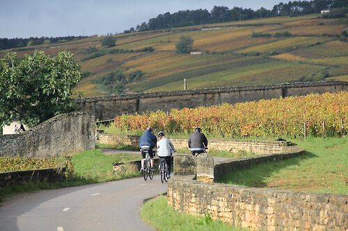 Burgundy Wine Trails: Macon to Beaune on the “Voie Verte”