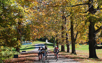 Cyclists riding along a tree-lined path with vibrant autumn foliage, creating a scenic and…