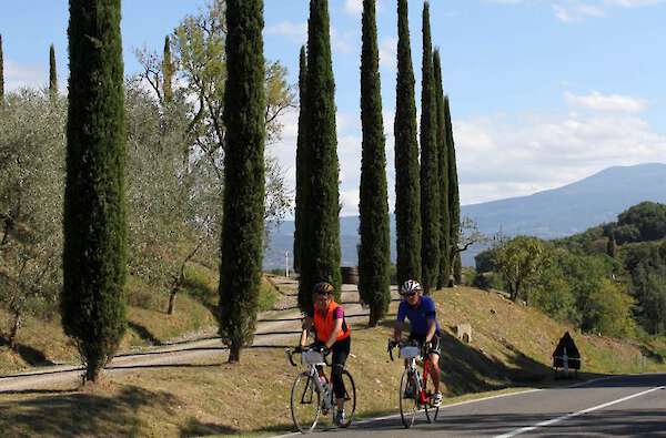 germany wine bike tours