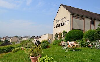 A building with "Champagne G. Tribaut" written on the side, surrounded by a garden with…