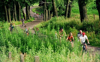 Poland's Masurian Lake District Bike Tour