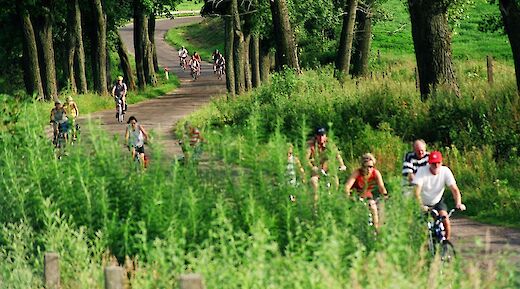 Poland's Masurian Lake District Bike Tour