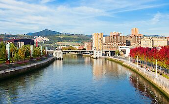 Red leaves in Bilbao, Spain. Unsplash:Getty Images