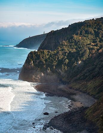 Tree-covered cliffs of San Juan de Gaztelugatxe, Spain. Unsplash:Alejandra Cifre Gonzalez