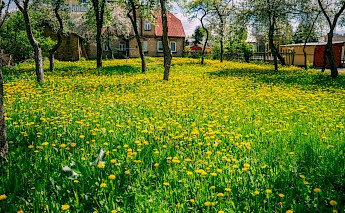 Białystok, Poland. Tomek Baginski@Unsplash