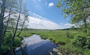 National Parks of Poland Bike Tour
