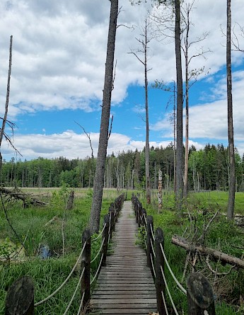 National Parks of Poland Bike Tour