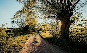 National Parks of Poland Bike Tour