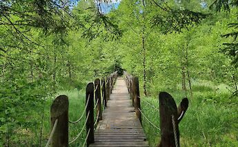 National Parks of Poland Bike Tour