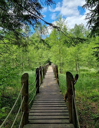 National Parks of Poland Bike Tour