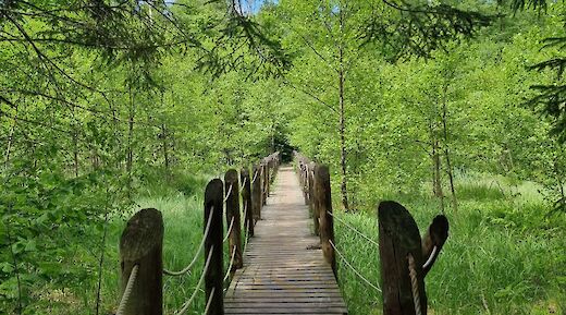 National Parks of Poland Bike Tour