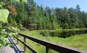 Wigierski National Park, Poland. CC:Polimerek