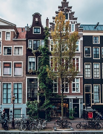 Amsterdam, North Holland, the Netherlands. Robin Oooode@Unsplash
