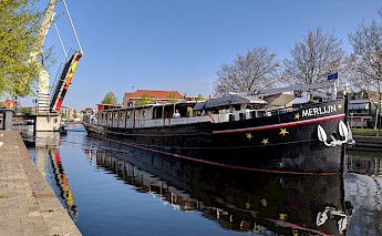 Holland's Tulip Fields & Historic Towns Bike Tour