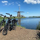 Holland's Tulip Fields & Historic Towns Bike Tour