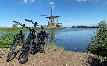 Holland's Tulip Fields & Historic Towns Bike Tour