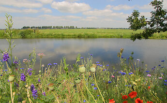 Biking through West Flanders, Belgium.