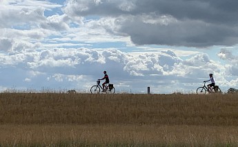 Cycling the Tulip Tour between Amsterdam and Bruges!