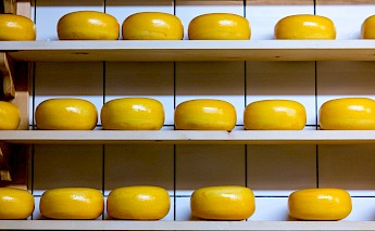 Gouda cheese for sale! Katrin Leinfellner@Unsplash