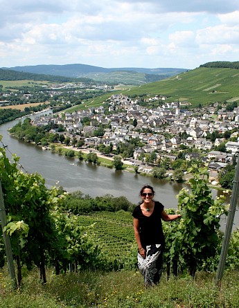 Vineyards along the Mosel & Saar River Valley. Megan Cole@Flickr