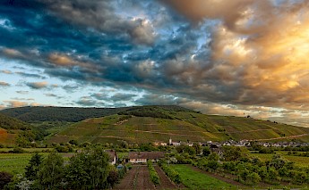 Mosel River Valley near Trier ©Hollandfotograaf