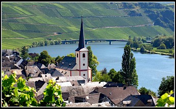 Piesport, Germany. Chris@Flickr