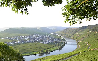 Trittenheim, Bernkastel-Kues, Germany. CC:Stefan Hermes