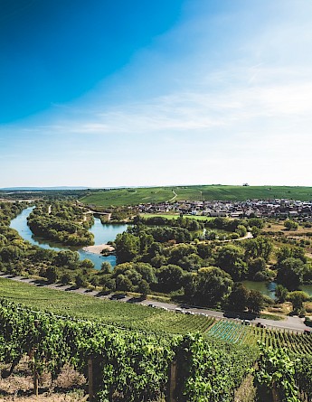 Volkach, Lower Franconia (also called "Wein-Franken"), Germany. Markus Spiske@Unsplash
