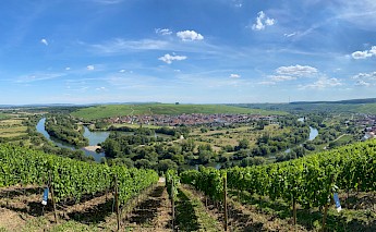 Volkacher Mainschleife as it is known. Bernd M Schell@Unsplash